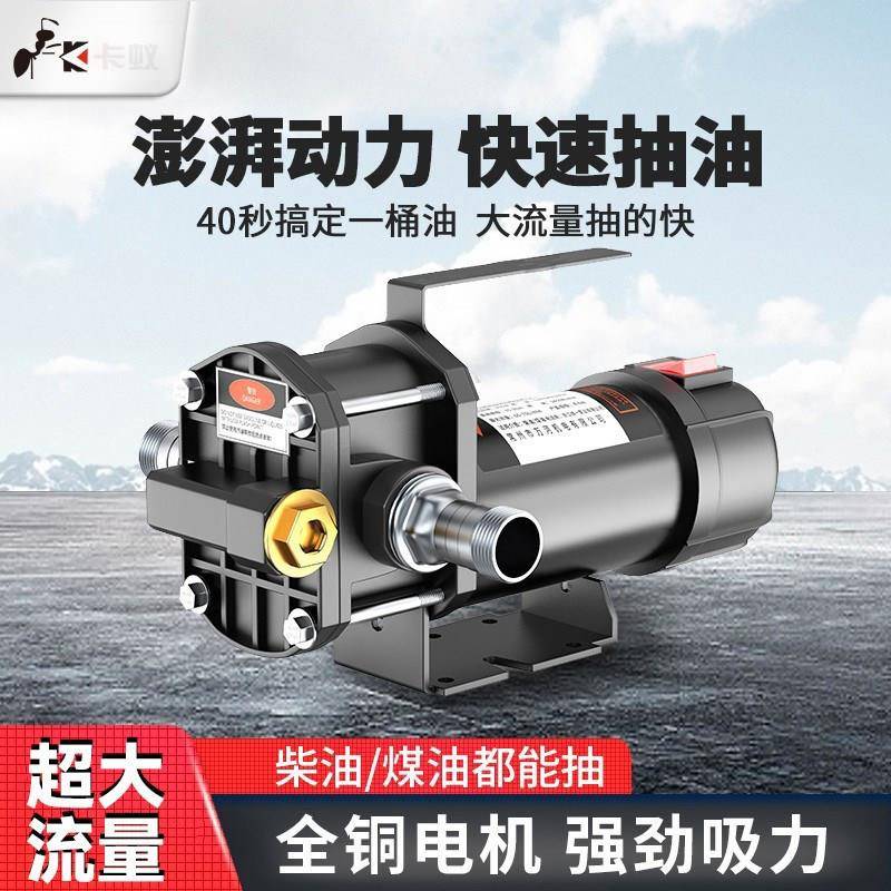 德国进口电动抽油泵12V/24V加油泵220V柴油汽油自吸抽油泵抽油器