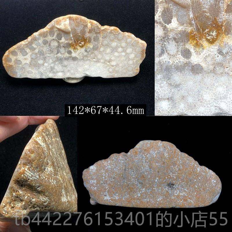 正品印尼原然珊瑚玉原石矿把料摆矿件菊花玉石手件天装饰饰品片料