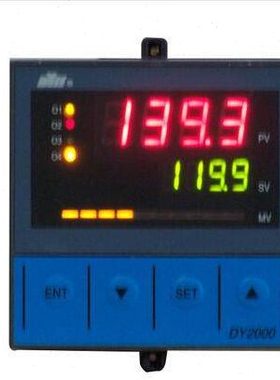 东辉温度巡检仪DY21D00164M DY29D00164M DY29D10164M DY21D1016P