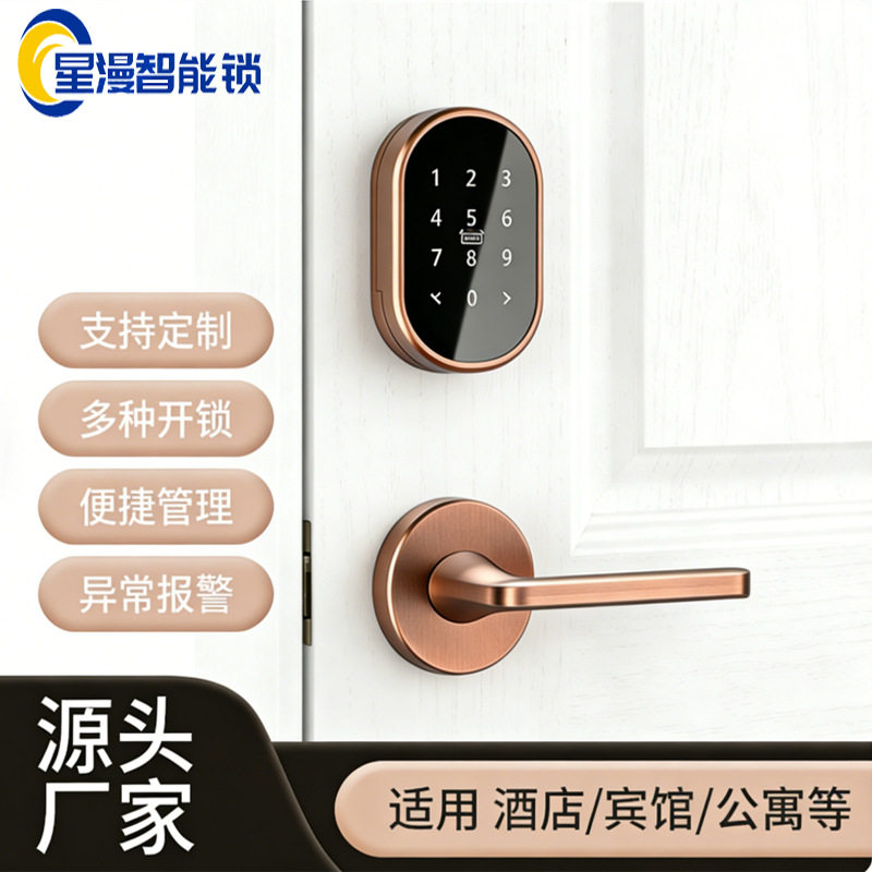 民宿密码锁酒店锁分体锁IC锁酒店电子锁公寓锁房间门锁磁卡锁远程
