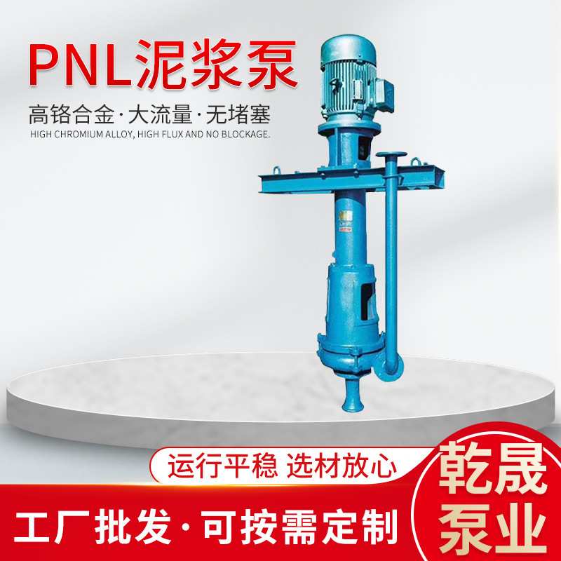 PNL泥浆泵 立式杂质泵河塘清淤泵 单级家用加长泵排污泥浆泵