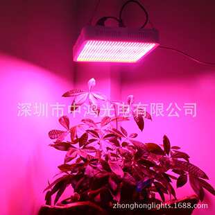 800珠5730植物生长补光灯 LED植物灯 LED植物补光灯 800W 贴片