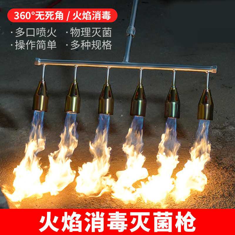 火焰消毒枪养殖场消毒枪液化气喷枪高温煤气多头喷火枪