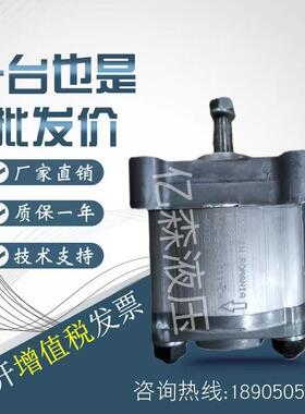 HESPER赫思博齿轮泵HA1-F-3.2/1/1.2/1.7/2.0/2.6-1199-C液压油泵