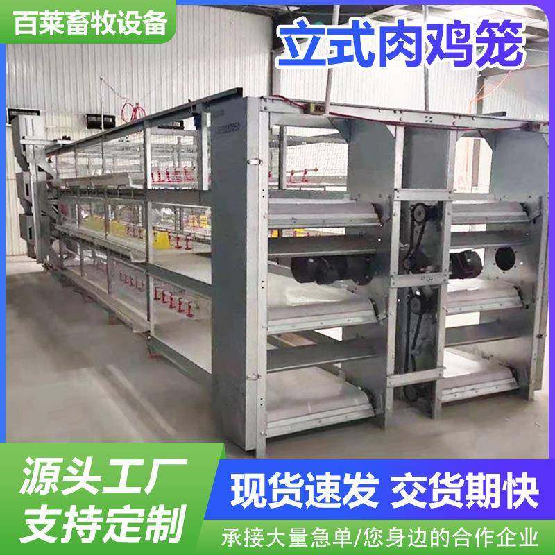 厂家供应立式肉鸡笼坚固耐用防锈防腐镀锌坚固耐用，防锈防腐,畜牧/养殖物资,特种养殖设备,淘宝优惠券,粉丝福利购,淘宝优惠卷