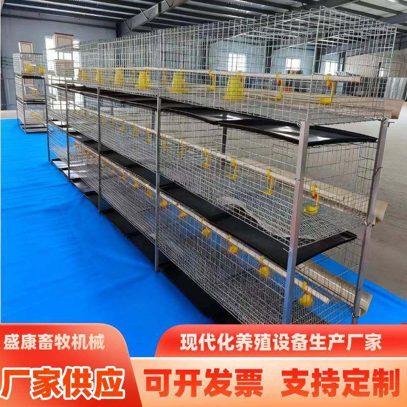 框架肉鸡笼镀锌养殖鸡笼H型肉鸡笼层叠式含托粪盘塑料网水箱鸡笼,畜牧/养殖物资,特种养殖设备,淘宝优惠券,粉丝福利购,淘宝优惠卷
