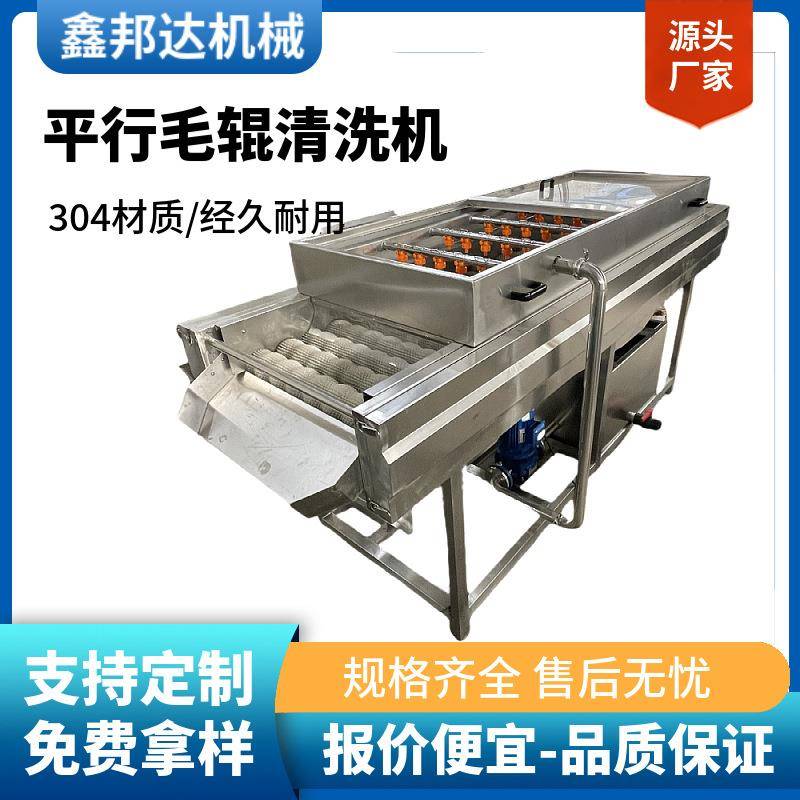 304不锈钢现货供应毛辊清洗机商用全自动粽叶去污清洗机