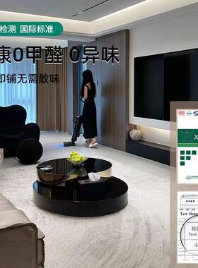 轻奢2025新款家用客厅卧水发室沙茶几床边地防免洗可擦FLL洗毯地