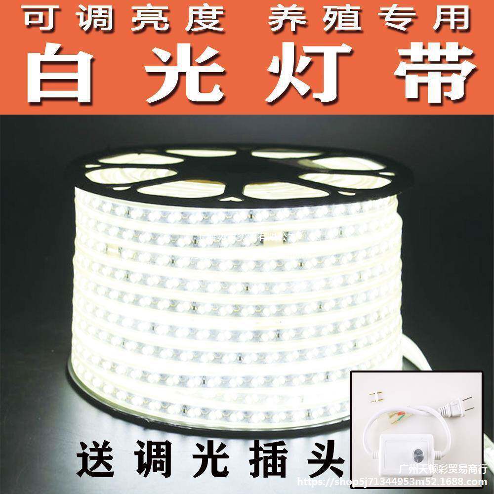 2413垒养殖光场鸡舍led灯带可调亮度灯调光白光暖照明防水户外条