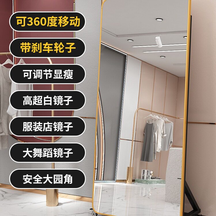带轮可刹车舞蹈全身落地镜