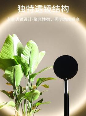 室内灯物多肉补光灯le长d植全50528光谱仿太阳光家用阳台热植绿植