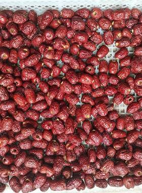 大枣机烘干气能红空枣烘干全房灰枣箱式干燥设备自UYC动电烤房