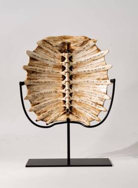 现中古GT-A082高端仿古化石甲骨代龟背创意摆件桌面文公室工艺品