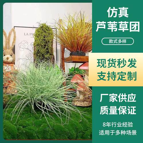 仿真洋葱草团装饰造景草球苔草造景摆件塑料植物草绿植假芦苇草