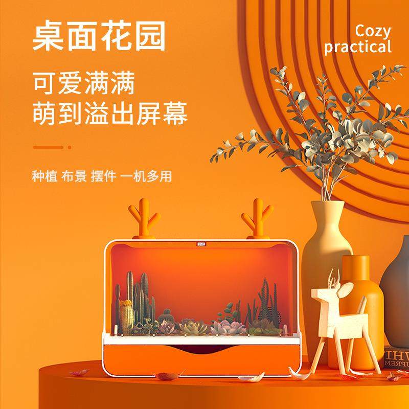 方寸间桌面花园多肉种植机养花机桌面摆件可爱礼品教学课堂劳动课