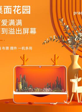 方寸间桌面花园多肉种植机养花机桌面摆件可爱礼品教学课堂劳动课