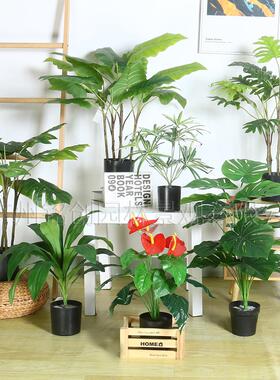 室内落地景观大叶小植物仿真仙芋盘栽 60cm龟背竹仿真绿植小盆栽