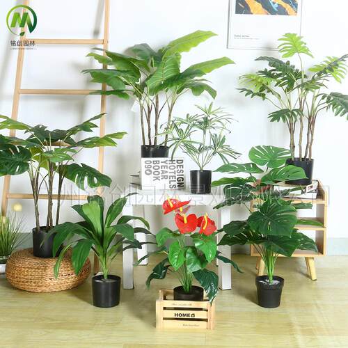 室内落地景观大叶小植物仿真仙芋盘栽 60cm龟背竹仿真绿植小盆栽