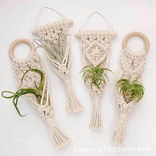 木环空气凤梨绿萝干花卡片挂绳兜底座装饰挂毯背景墙道具儿童房