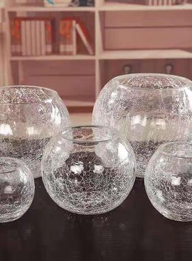 现代简约创意冰花圆球水培透明插花鱼缸客厅餐桌家居插花摆件