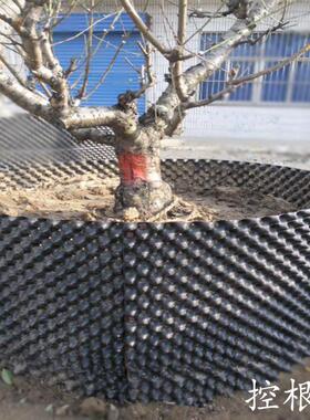 园林绿化植树用控根器 增根控根限根栽培容器 控根片 排水围树板