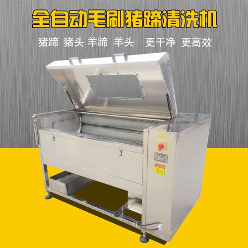 毛刷大枣清洗机商用核桃清洗机全自动红枣清洗抛光机水果清洗机器