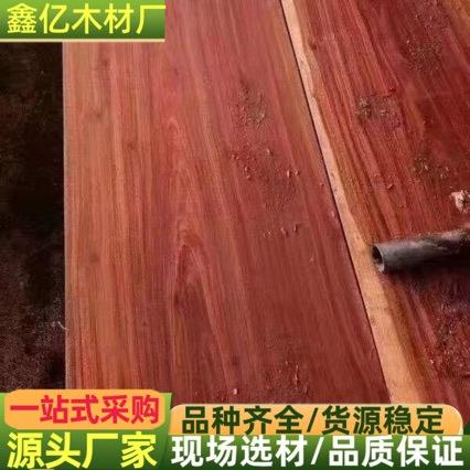 常年巴新红檀 原木 冰糖果原木 家具材 工程材 密度高 普朗木
