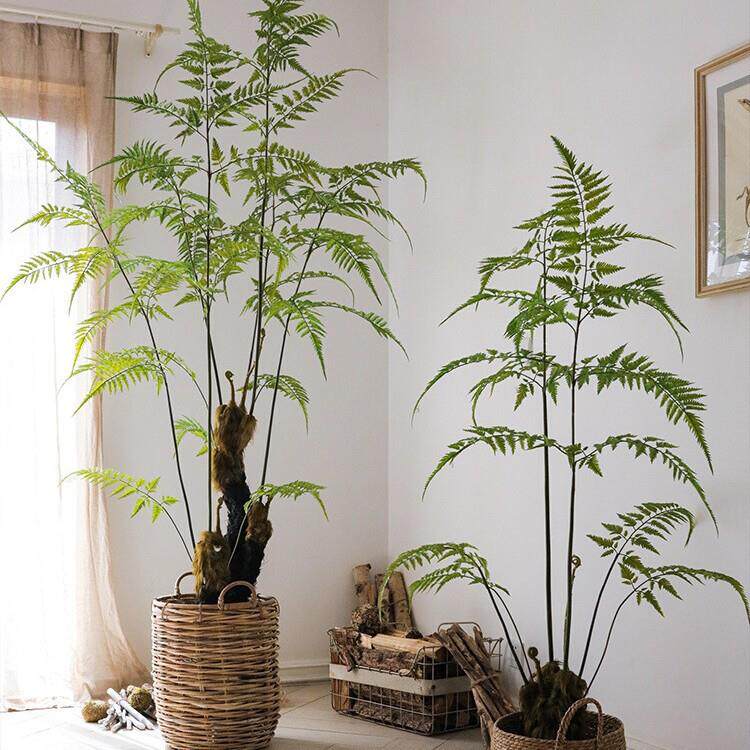 大型仿真蕨类绿植金毛狗蕨猴头蕨仿生植物茶室落地客厅摆件侘寂风