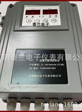 挂壁式振动监测保护仪RHMS-758G CZJ-B3G DYZ-WG 双通道测振仪
