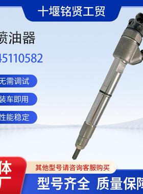 喷油器0445110582 33800-2F600适用于现代起亚欧6共轨喷油器