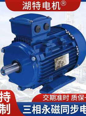 厂家供应TYBZ系列三相永磁同步电机 减速机配套 质保一年