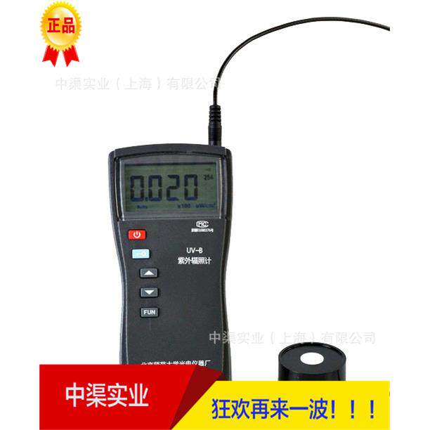UV-B型紫外辐照计(单通道) 紫外线强度计 师大牌UVB辐照仪
