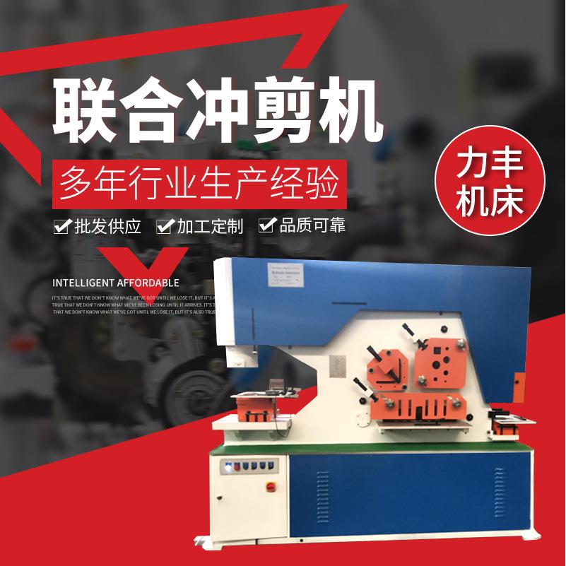 联合液压冲剪机厂家供应多功能槽钢角钢冲孔剪断机联合冲剪机