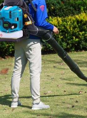 兴虎风力灭火机 EB850大功率手提式背负汽油吹风机 砂石落叶吹雪