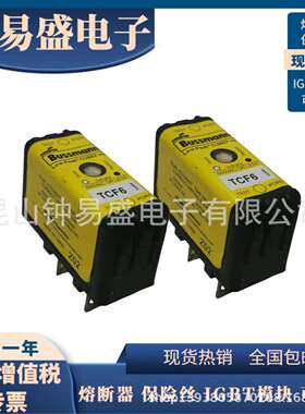 BUSSMANN延时熔断器TCF6 /15 / 20 / 30RN 600V