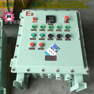氨水泵防爆操作作箱防爆照明动力配电箱甲胺泵防爆操作箱