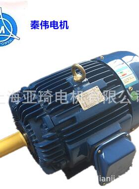 订做60HZ 220V 220V/380V 415V 440V 460V 480V 575V认证电机