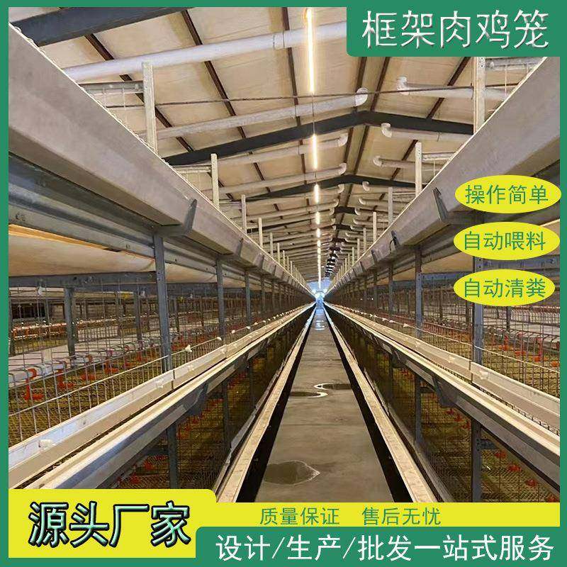 鸡笼肉鸡笼框架肉鸡笼全自动鸡舍养殖厂层叠式设备后热镀坚固耐用,畜牧/养殖物资,特种养殖设备,淘宝优惠券,粉丝福利购,淘宝优惠卷