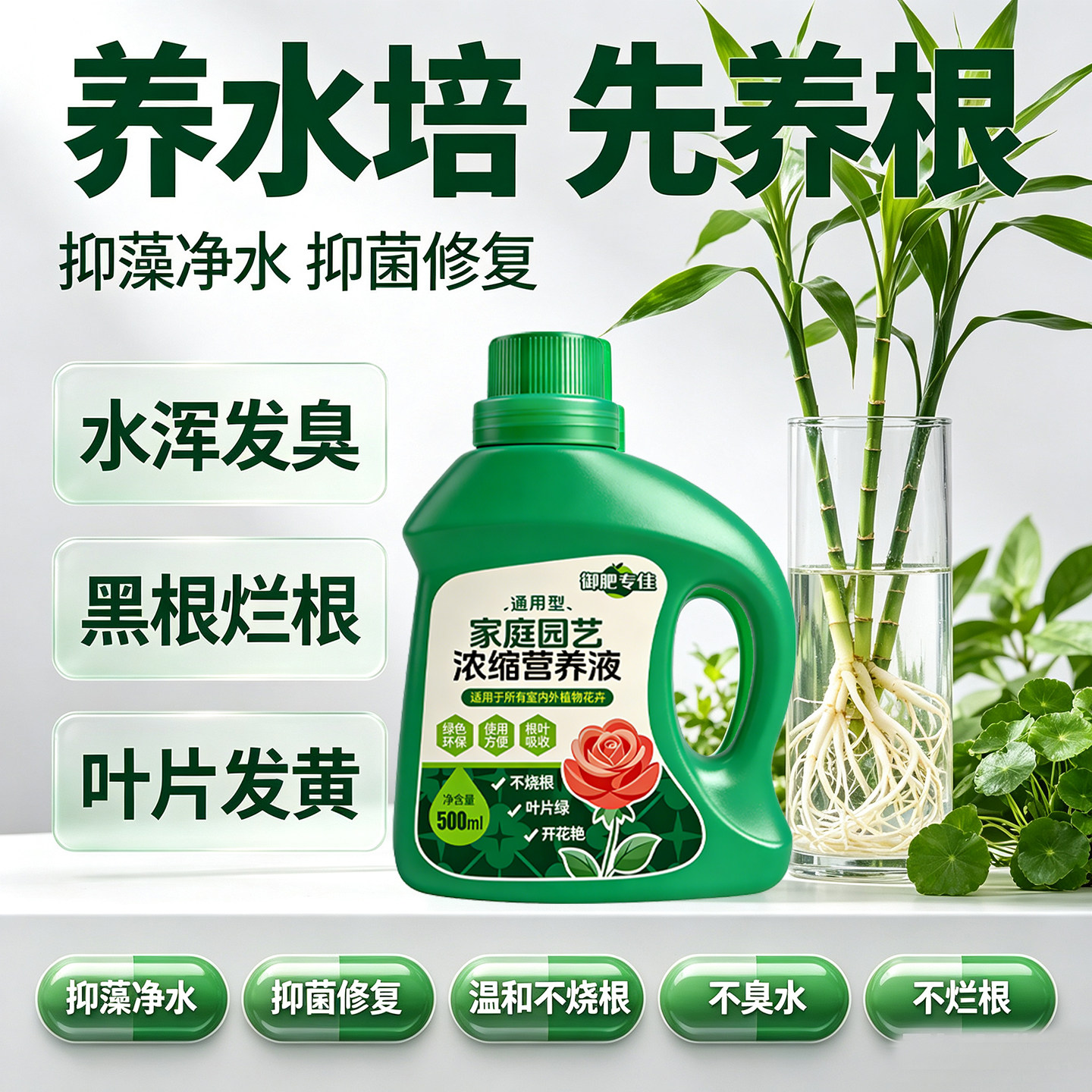 水培植物营养液通用型富贵竹