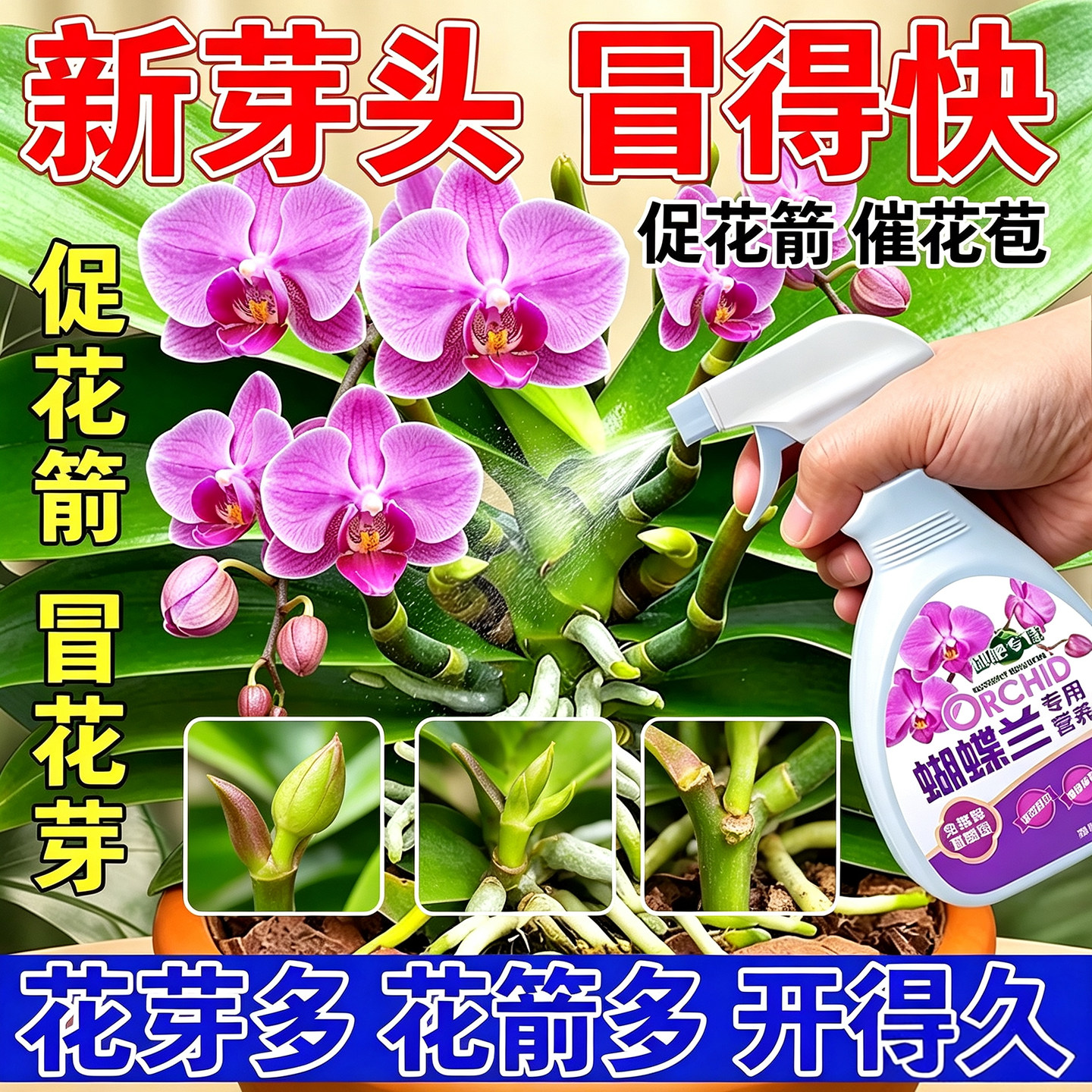 蝴蝶兰营养液新手养花专用催花