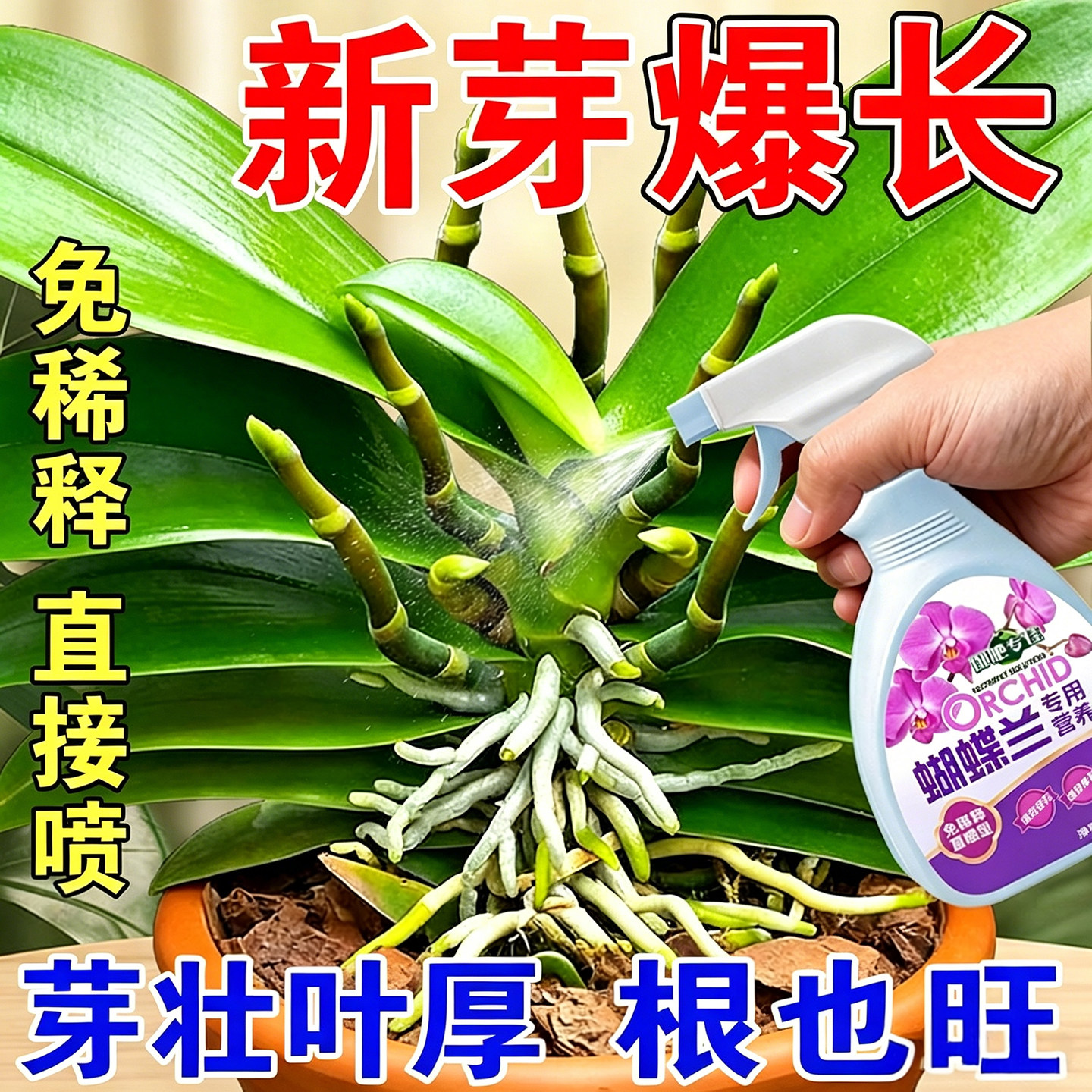 兰花专用肥蝴蝶兰营养液君子兰