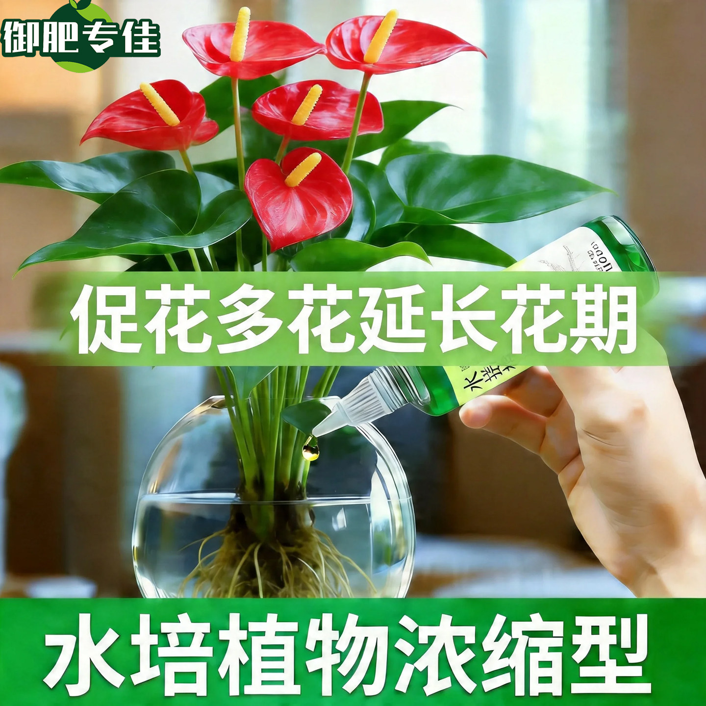 御肥专佳水培植物营养液促花多花爆花大花碗莲睡莲茉莉花专用肥