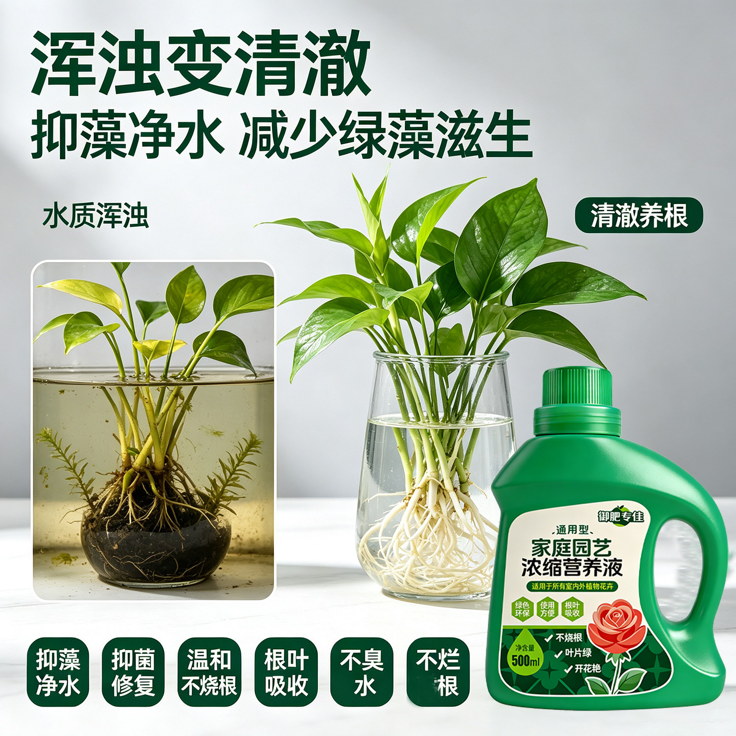水培通用浓缩营养液百合花