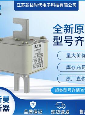 170M6061 170M6062 170M6063巴斯曼BUSSMANN熔断器保险丝