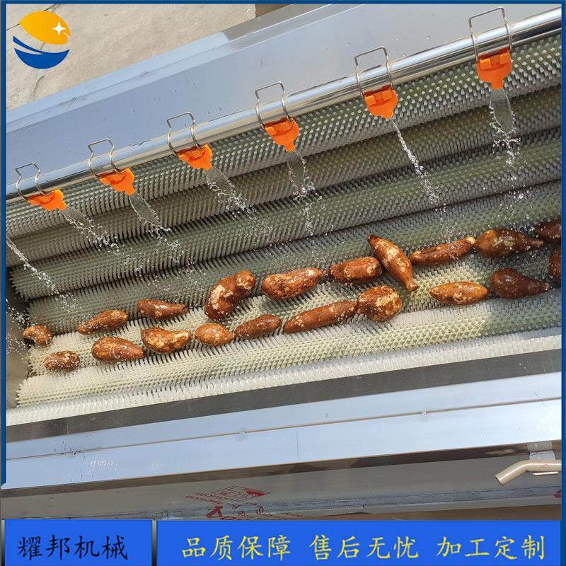 全自动黄精清洗机 毛刷式天麻党参人参清洗设备 大型中药材清洗机