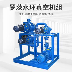 罗茨真空泵Z5JP用/ZJ型罗963茨0泵ZJP30ZJP10真空机组增压泵