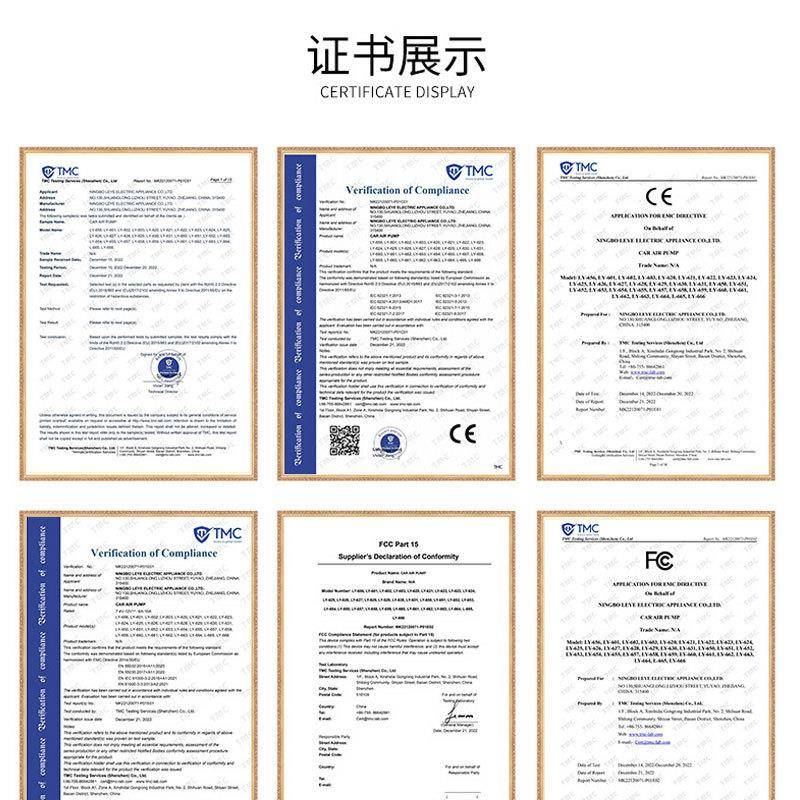 款集装箱型汽车充气泵携便式车充气泵LY-660新多功能载汽车打气泵