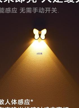 体感应夜间灯自人动人来即亮入户门家用能走廊75804智过道楼道墙