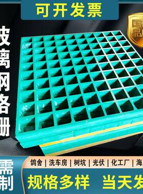 玻璃格栅板树池篦子鸽舍网养殖光地伏检修通钢洗车房道玻DJN璃钢X