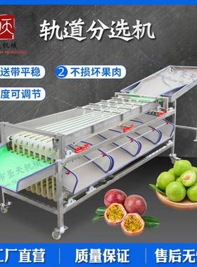 中天百香果分选选机李子47083柑橘分级机动全圣自沃柑果机设备